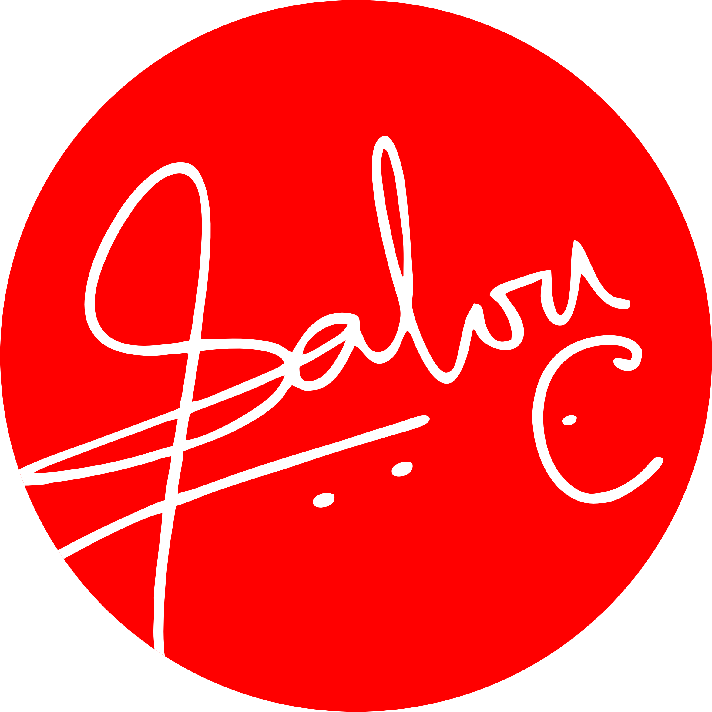 Salvy.ng